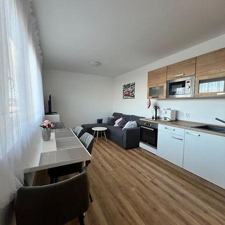 Apartman Roda2 Male Lipno Черна-в-Пошумаві Екстер'єр фото